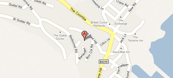 Google Map